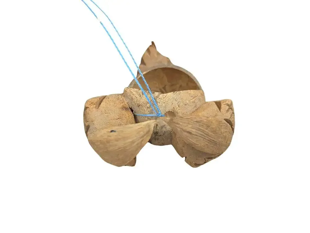 Coconut Shell Bird Feeder Love Birds 9